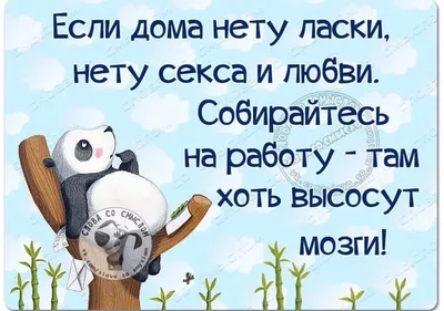 Картинки с добрым снежным утром смешные с надписями (61 фото) » Картинки и  статусы про окружающий мир вокруг