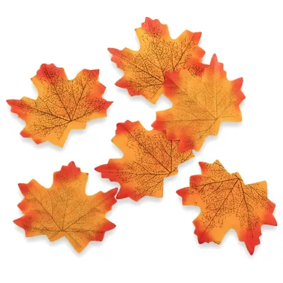 Цвет осенних листьев, осенние листья, клен, лист, кленовый лист png |  PNGWing