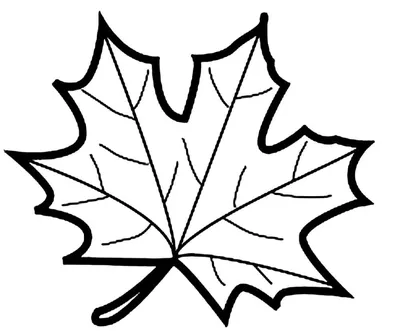 Кленовый Лист Осенние Листья - Бесплатное фото на Pixabay - Pixabay