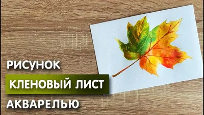 Обои кленовый лист, лист, клен, осень, макро, дерево картинки на рабочий  стол, фото скачать бесплатно