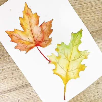 ✧ Выбери кленовый листочек и получи предсказание на осень 2021✧ | ☆° • ࿐  Сундучок Евы ° ✧ ༄ | Дзен