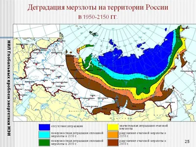 Основные климатические пояса России