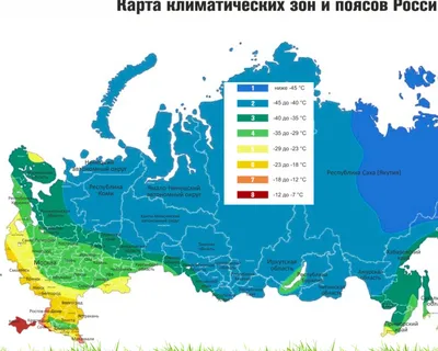 Общая характеристика климата России | География 8 класс
