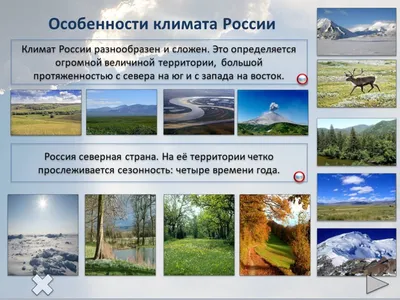 Урок географии \"Климат России\"
