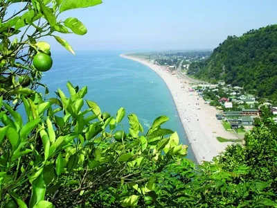 Kobuleti live