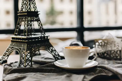 Как кофе появился во Франции и зачем Наполеон оставил свою треуголку в  кофейне? – Блог обжарщиков кофе Torrefacto