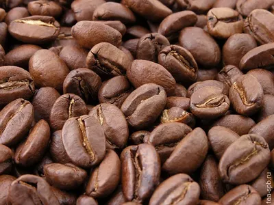 Можно ли пить кофе вечером? Рассказывают специалисты Coffee-bean