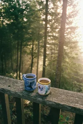 Картинки утро кофе солнце красивые (68 фото) » Картинки и статусы про  окружающий мир вокруг