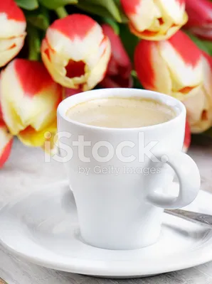 Напиток Кофе Весна - Бесплатное фото на Pixabay - Pixabay
