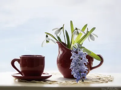 Cup of coffee with macaroons, dried flowers protea Stock Photo by ©Depiano  130386810