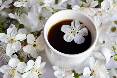 Кофе с ароматом весны — конкурс \"Мир кофе\" — Фотоконкурс.ру