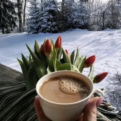 Кофе и весна цветут на старом деревянном подносе Стоковое Изображение -  изображение насчитывающей капучино, ретро: 40151115