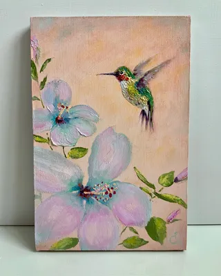 Сверкающий колибри | Пикабу