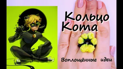 Ролевой набор \"Леди Баг и Супер-кот\",Почувствуй себя Супер-Котом,Miraculous  , 50603 - купить с доставкой по выгодным ценам в интернет-магазине OZON  (892531038)