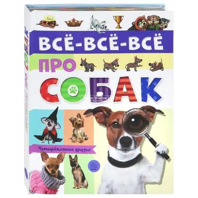 11 СМЕШНЫХ МИНИ-ИСТОРИЙ ПРО КОТИКОВ В КАРТИНКАХ | Все про кошек | Дзен