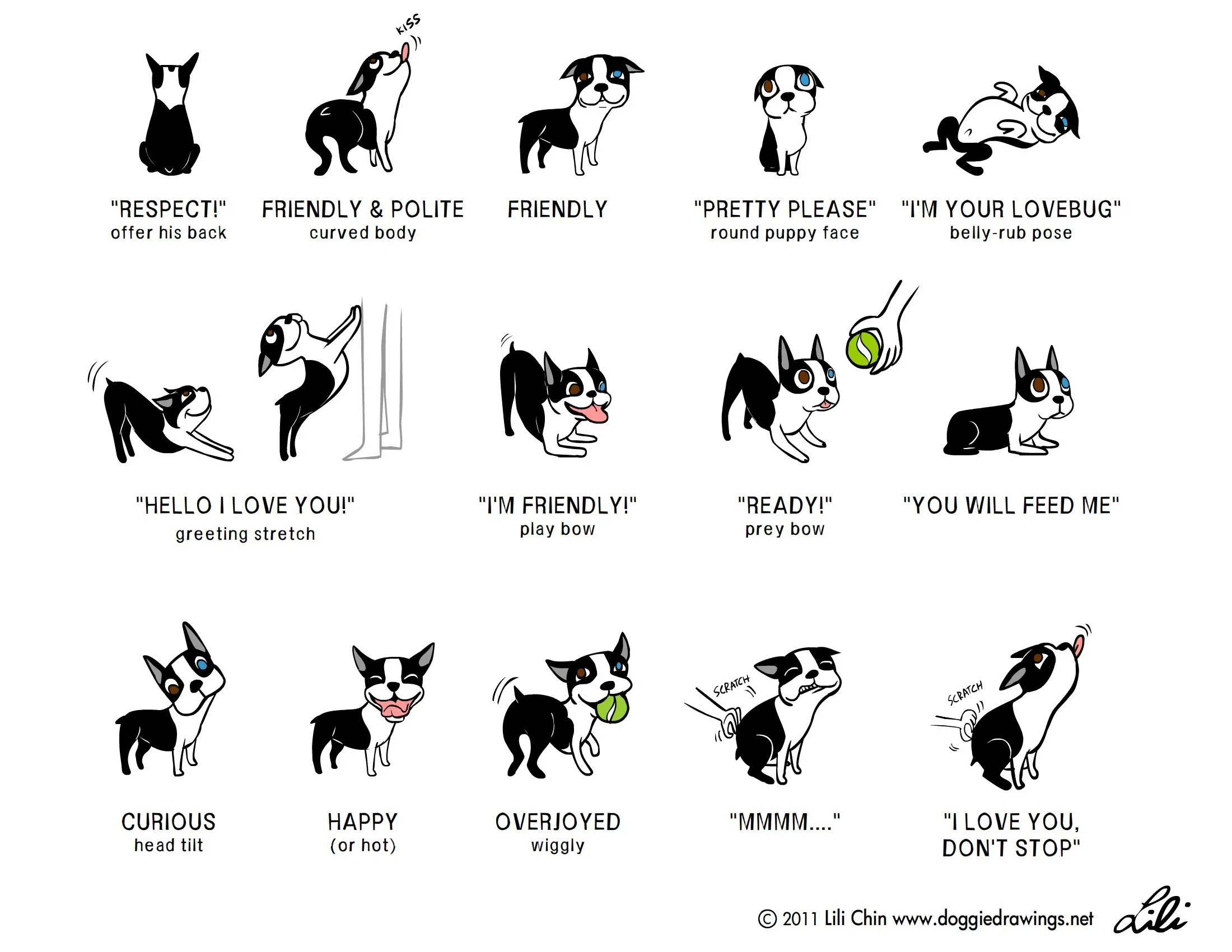 Поведение собак характеристика. Язык тела собаки. Язык тела собаки в картинках. Язык жестов собак. Жесты для собак.