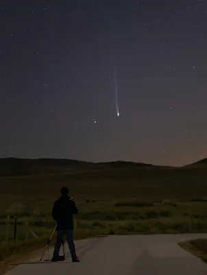 Спешите видеть: великая комета улетает все дальше от Земли
