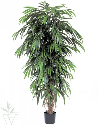 Купить Лианы искусственные декор на стену растения лоза и плющ 5 шт по 2.4  метра по выгодной цене в интернет-магазине OZON.ru (925692181)