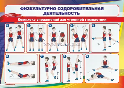 Плакат \"Комплекс упражнений для утренней гимнастики\": Формат А4 – купить по  цене: 20,70 руб. в интернет-магазине УчМаг
