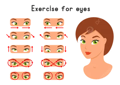 Гимнастика для глаз по Аветисову — комплекс упражнений для тренировки и  массажа глаз