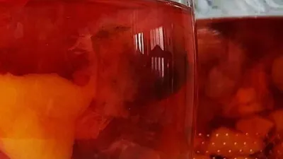 Kompot juice – Halal Dastarkhan