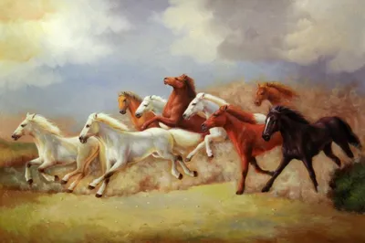 Лошади и кони, картинки | Сергей Ведерников | Дзен