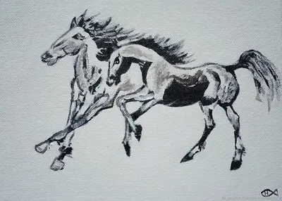Кони лошади ранчо ковбой детская фотосессия на конюшне семейная фотосессия  на конюшне девочка в ковбойской шляпе шляпа ковбойские сапоги седло лошадь  закат золо…