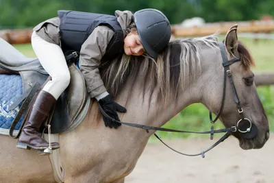 Купить репродукцию картины Horse sport — Конный спорт на стену (артикул  112250) в Москве