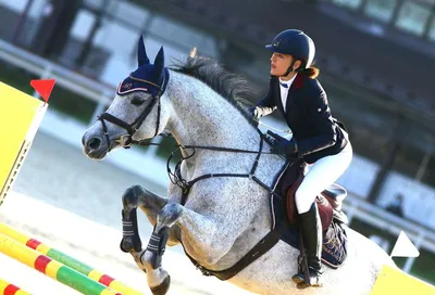 Как устроен конный спорт и за что его решили убрать с Олимпиады ::  Олимпиада в Токио :: РБК Спорт