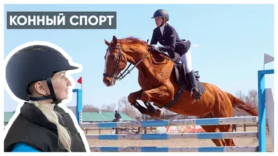Конный спорт – секунды, ради которых стоит жить — Yakutia-daily.ru