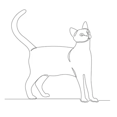 Раскраски Раскраска Контур кошки Контур кошки для вырезания, скачать  распечатать раскраски.