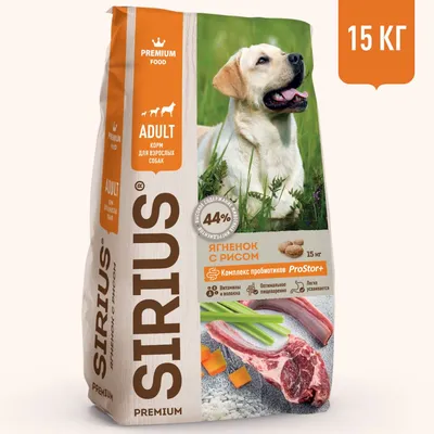 Купить Сухой корм Purina ONE® МИНИ Здоровый вес для собак мелких пород, с  индейкой и рисом, пакет, 600 г -официальный интернет-магазин Purina