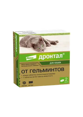 Таблетки от глистов Мильбецин Нео для котят и кошек 0,5-4 кг - купить с  доставкой по выгодным ценам в интернет-магазине OZON (603400825)