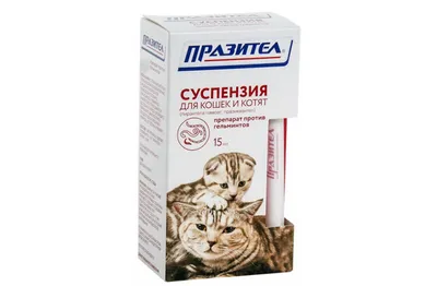 Паразиты у котов - картинки и фото koshka.top