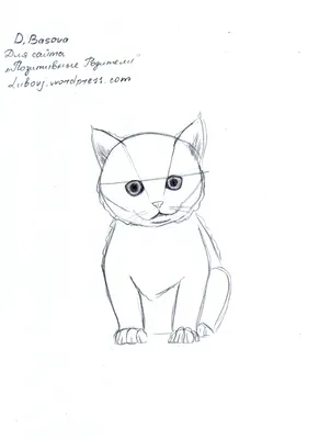 Кошка рисунок для срисовки карандашом легкий - 31 фото