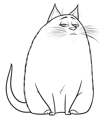190 рисунков котов и котят карандашом для срисовки