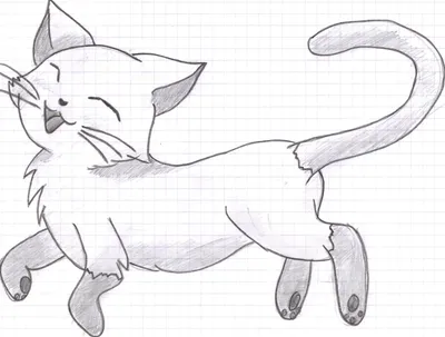 Рисунок карандашом кошка домашняя (48 фото) » Рисунки для срисовки и не  только
