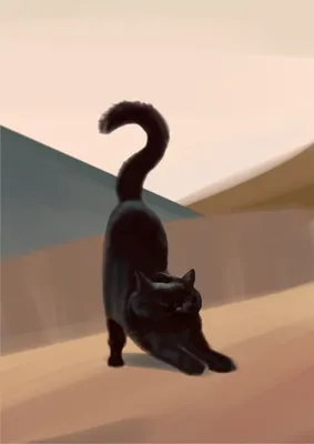 Фото Черная кошка потягивается, by muddypadfoot
