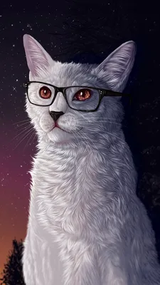 Кошка в очках рисунок - 69 фото
