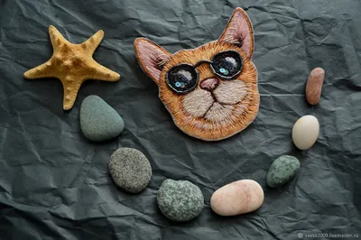 Солнцезащитные очки для кошек. собак, животных, для фото, цвет голубой -  купить с доставкой по выгодным ценам в интернет-магазине OZON (766891650)