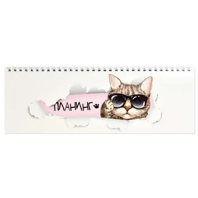 Купить плакат Арт портрет кошек в очках №5 от 290 руб. в арт-галерее DasArt
