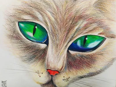 Нарисованные глаза кошки - 70 фото