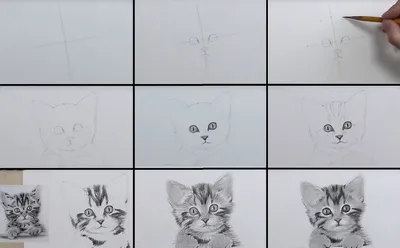 Котики и нейросеть: она - художник и она так видит | Коты, ружье и парашют  | Дзен