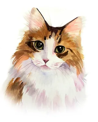 рукописные мультяшный кот PNG , коричневый кот, мультфильм, кошка PNG  картинки и пнг PSD рисунок для бесплатной загрузки