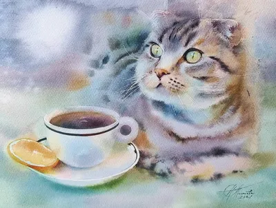 Как выразить свою любовь к коту | Готовим подарки ко Дню кошек - Питомцы  Mail.ru