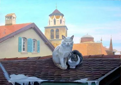 Кошки на крыше - 65 фото