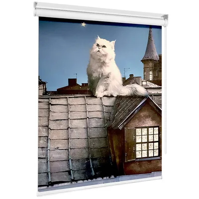 Раскраска по номерам Кот на крыше / Кошки / Животный мир,
