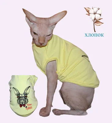 Модная одежда для кошек, костюм для кошек, Мягкий Свитшот для кошки,  весна-лето, костюм для кошки, одежда для кошки | AliExpress