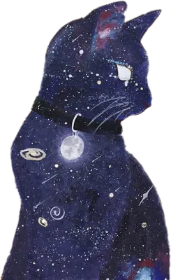 Космический кот рисунок - 68 фото
