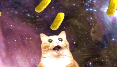 Это просто кот, огурцы и космос. Самый странный и залипательный сайт |  Пикабу